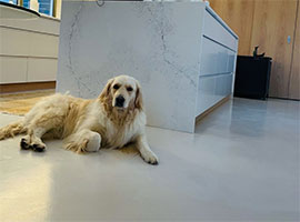 Decopol Commercial, Industrial & Residential flooring solutions